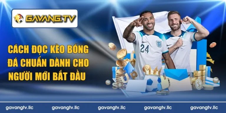 cách đọc kèo bóng đá chuẩn