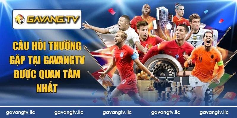 câu hỏi thường gặp