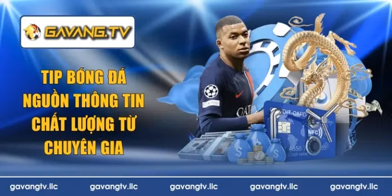 tip bóng đá